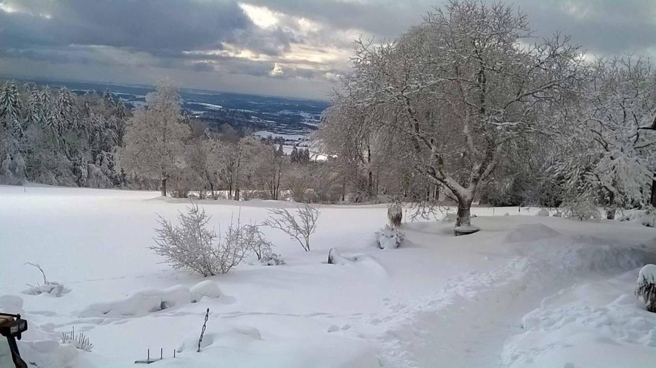 Ferienwohnung Miedl Хауценберг Екстериор снимка